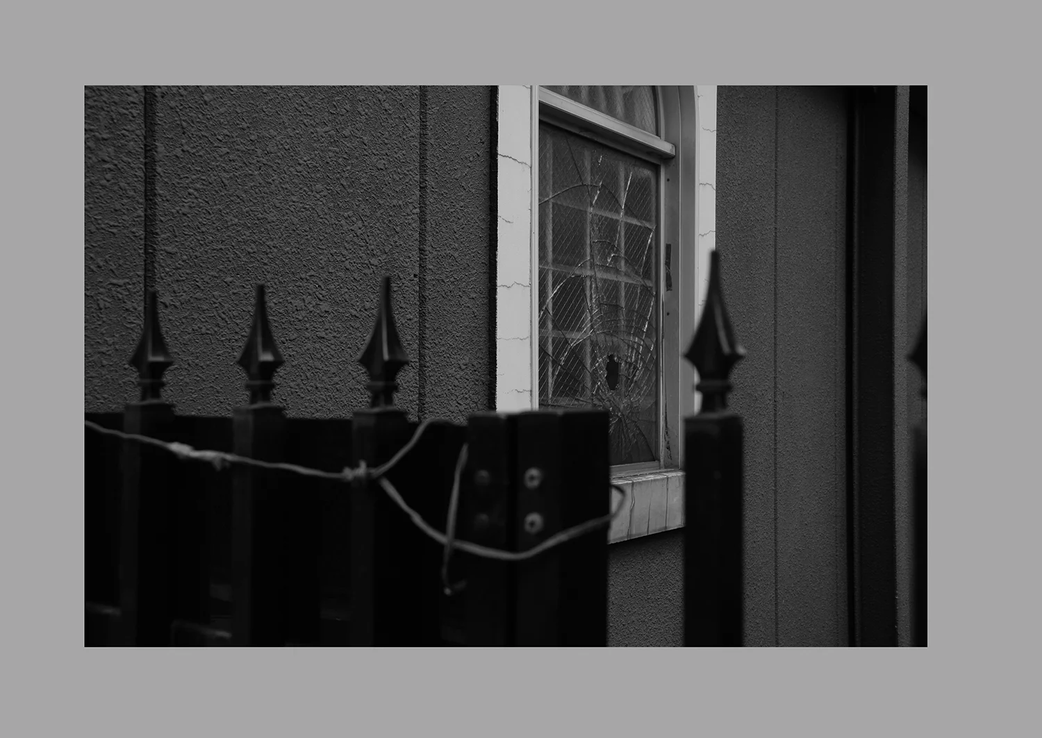 猫のつめとぎ "Sharpening of a Cat's Claw" 2017 #19