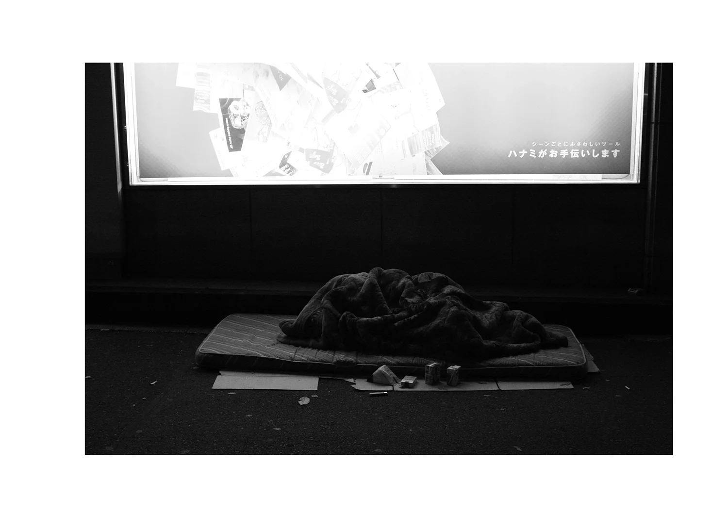 猫のつめとぎ "Sharpening of a Cat's Claw" 2017 #22