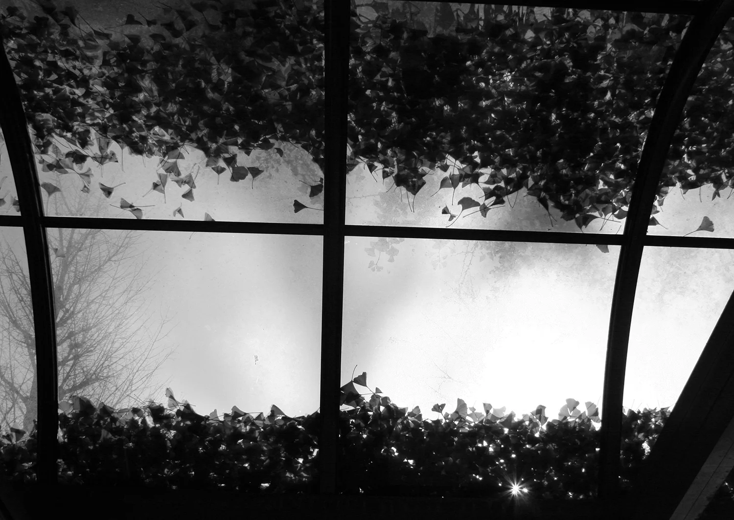 猫のつめとぎ "Sharpening of a Cat's Claw" 2017 #25