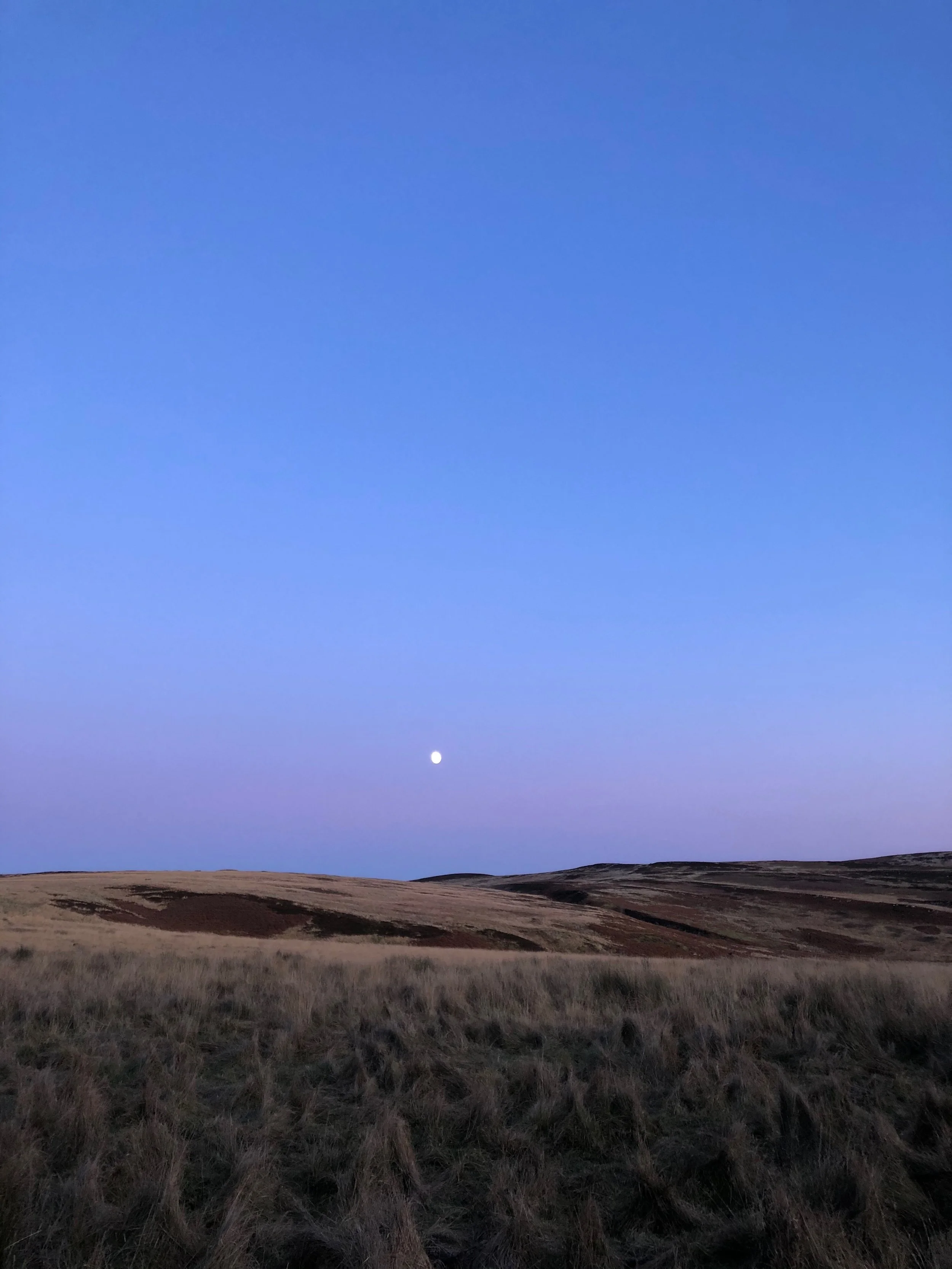 Mokuhanga one-to-one tuition UK workshop