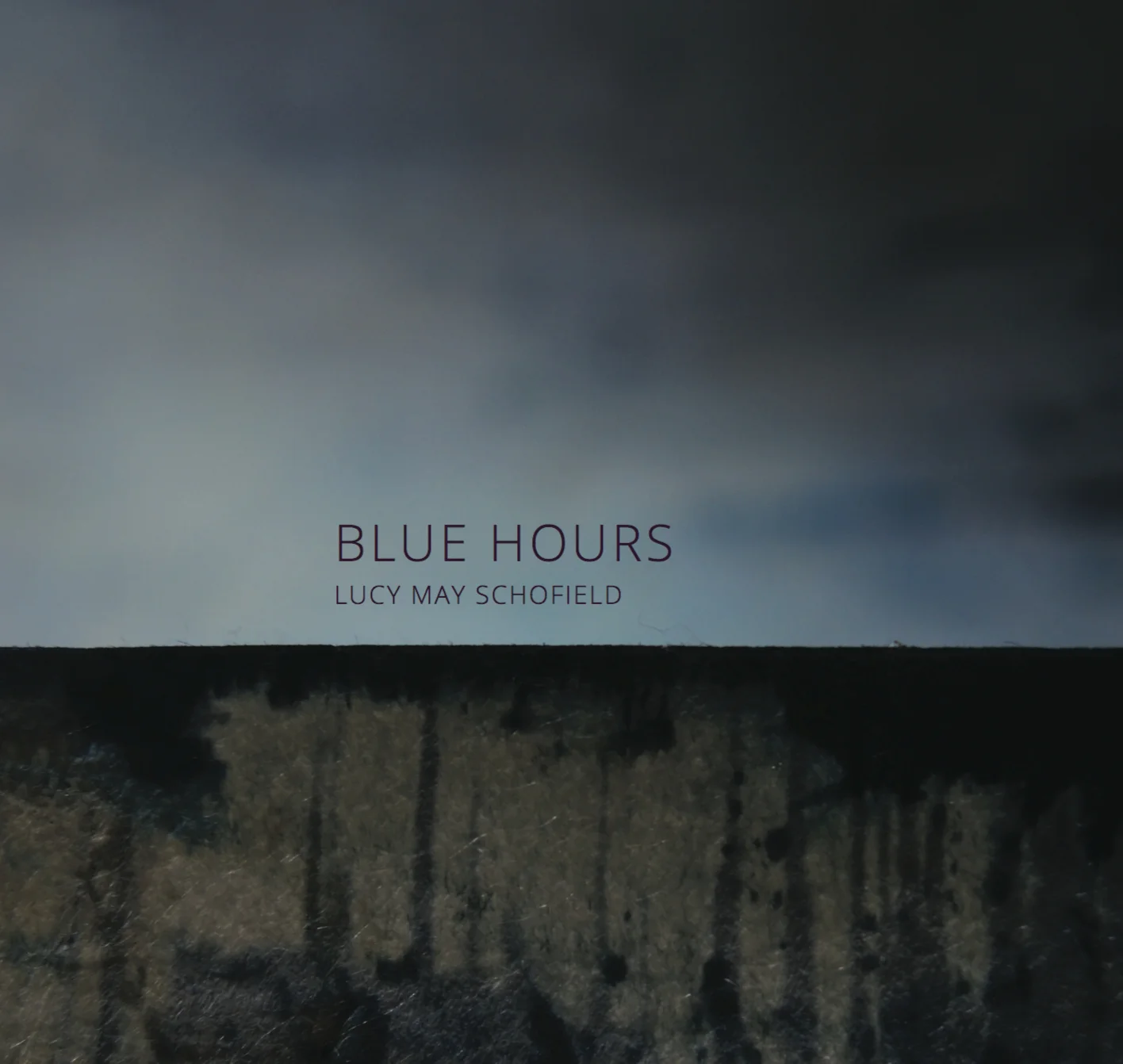 Blue Hours cat cover copy.jpg