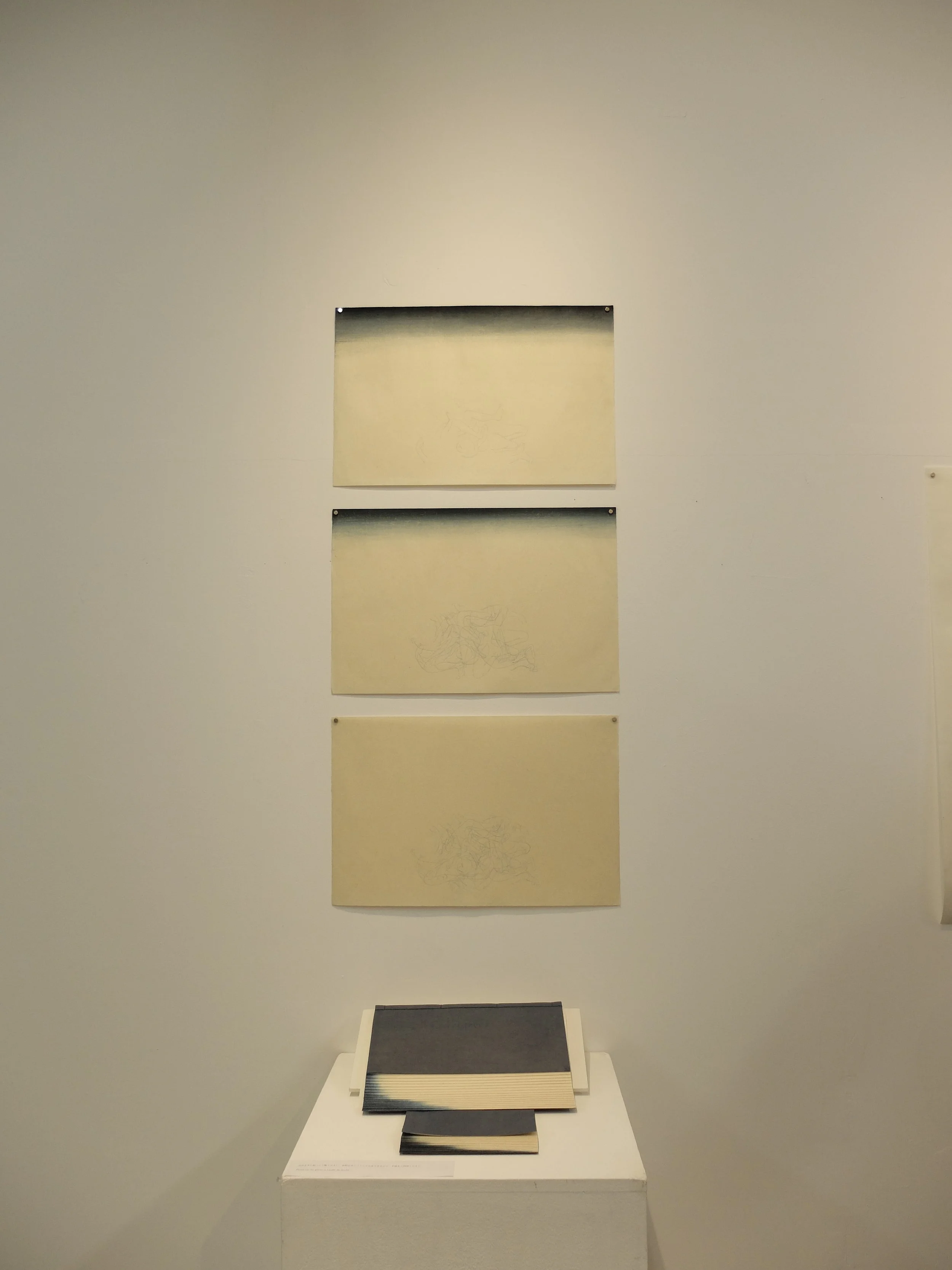 DSCF5357.JPG