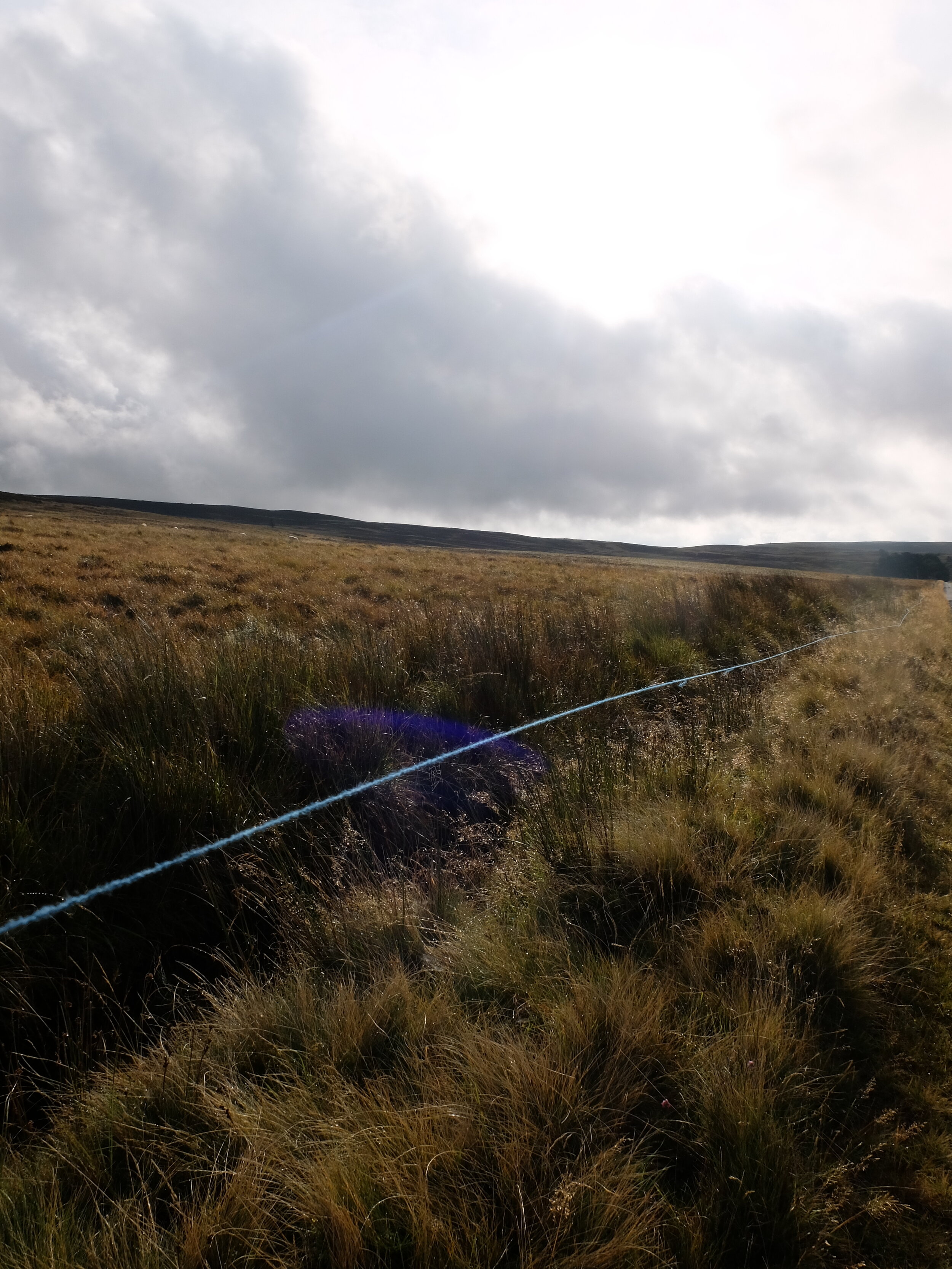 DSCF5906.JPG