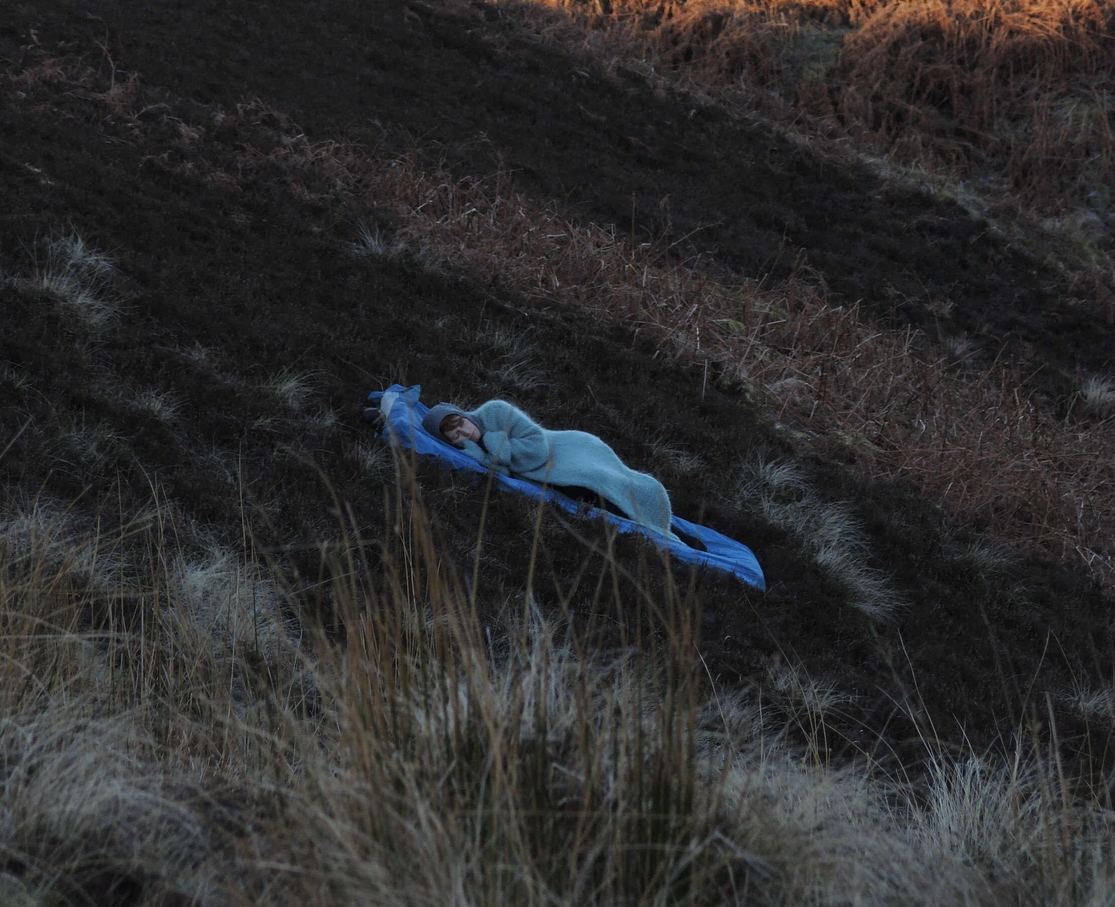 LMS Awake Spring cyanotype sleep performance.JPG