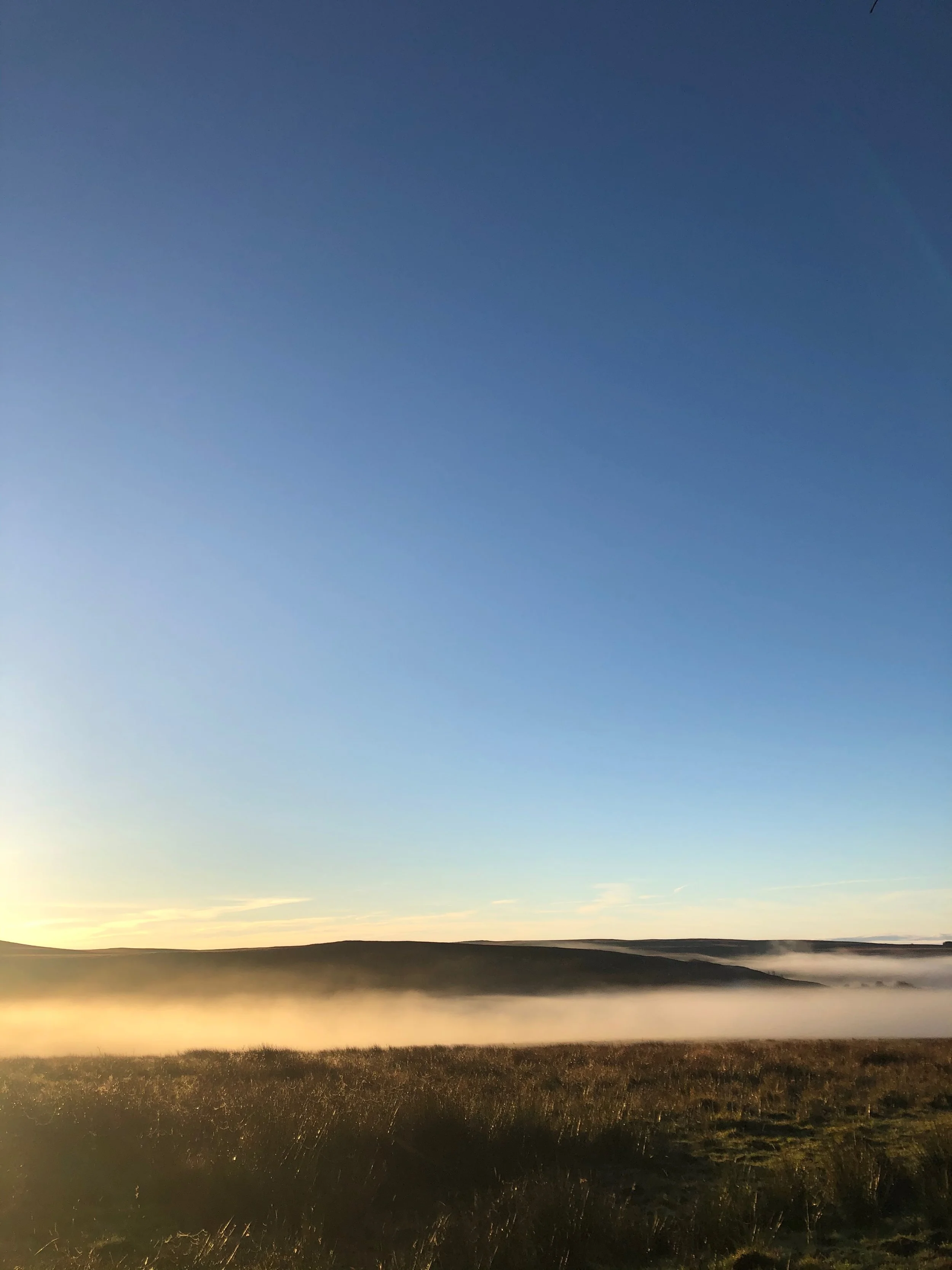 Mokuhanga one-to-one tuition UK workshop