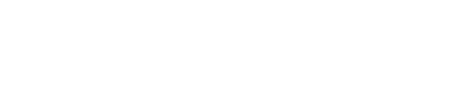 STRATEGIC OPERATOR  ·  ORGANIZATIONAL BUILDER  ·  CROSS-ENTITY LEADER