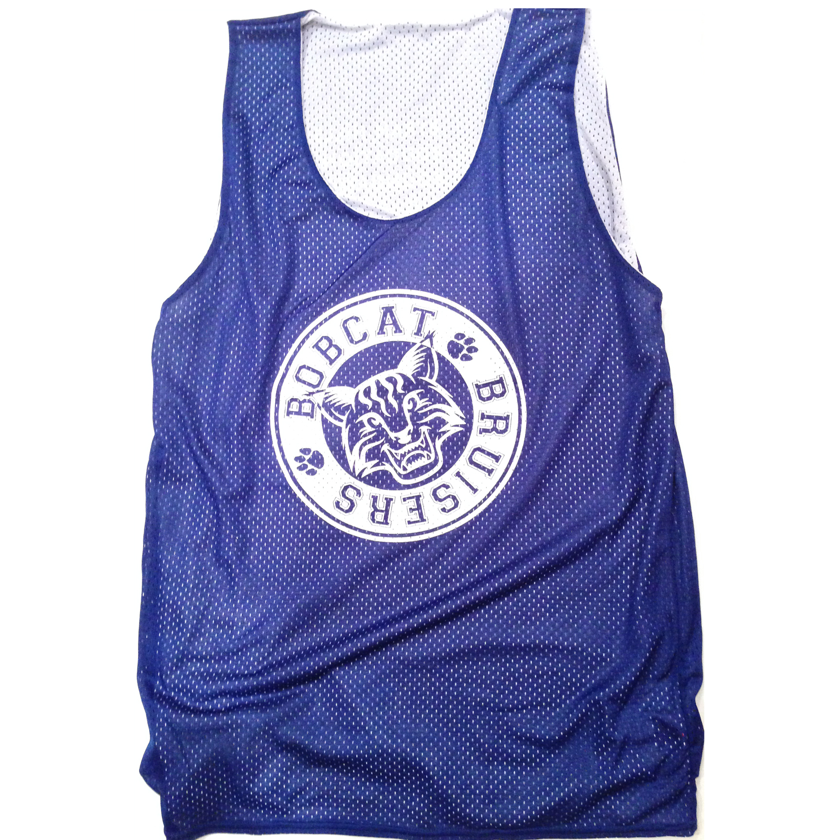 bobcats1.jpg