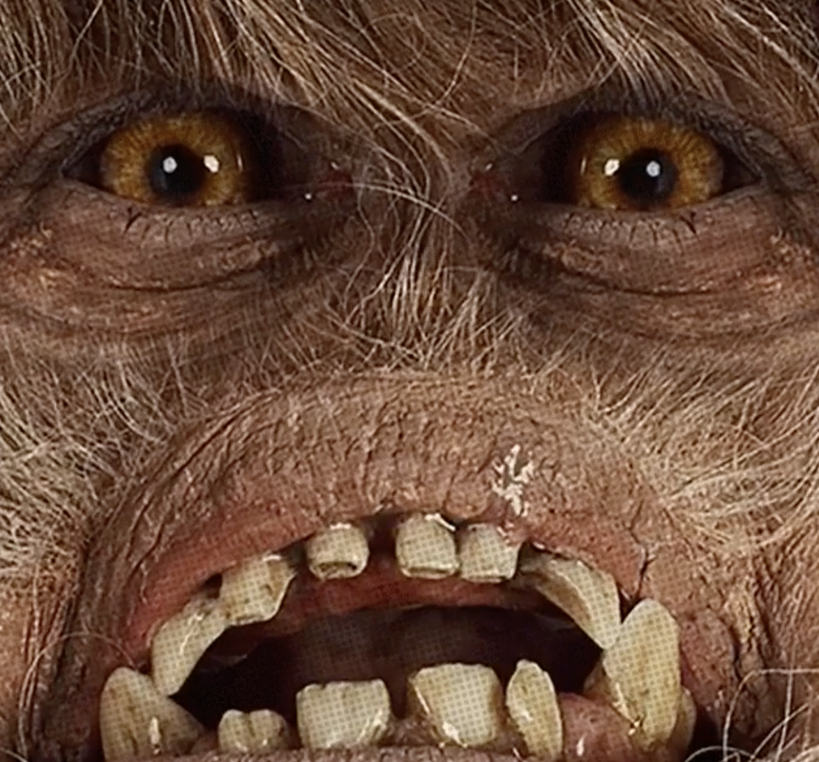 Screen Shot 2022-10-12 at 11.27.01 AM.png