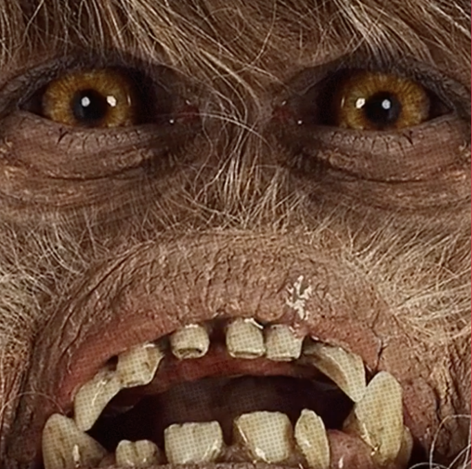 Screenshot 2026-03-06 at 1.32.16 PM.png