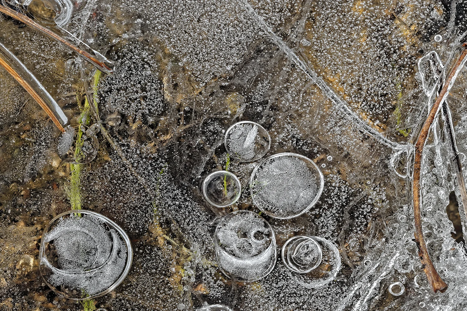 RB  15 04 05 13 46  GLACE SUR L'ÉTANG  No 2  PP.JPG