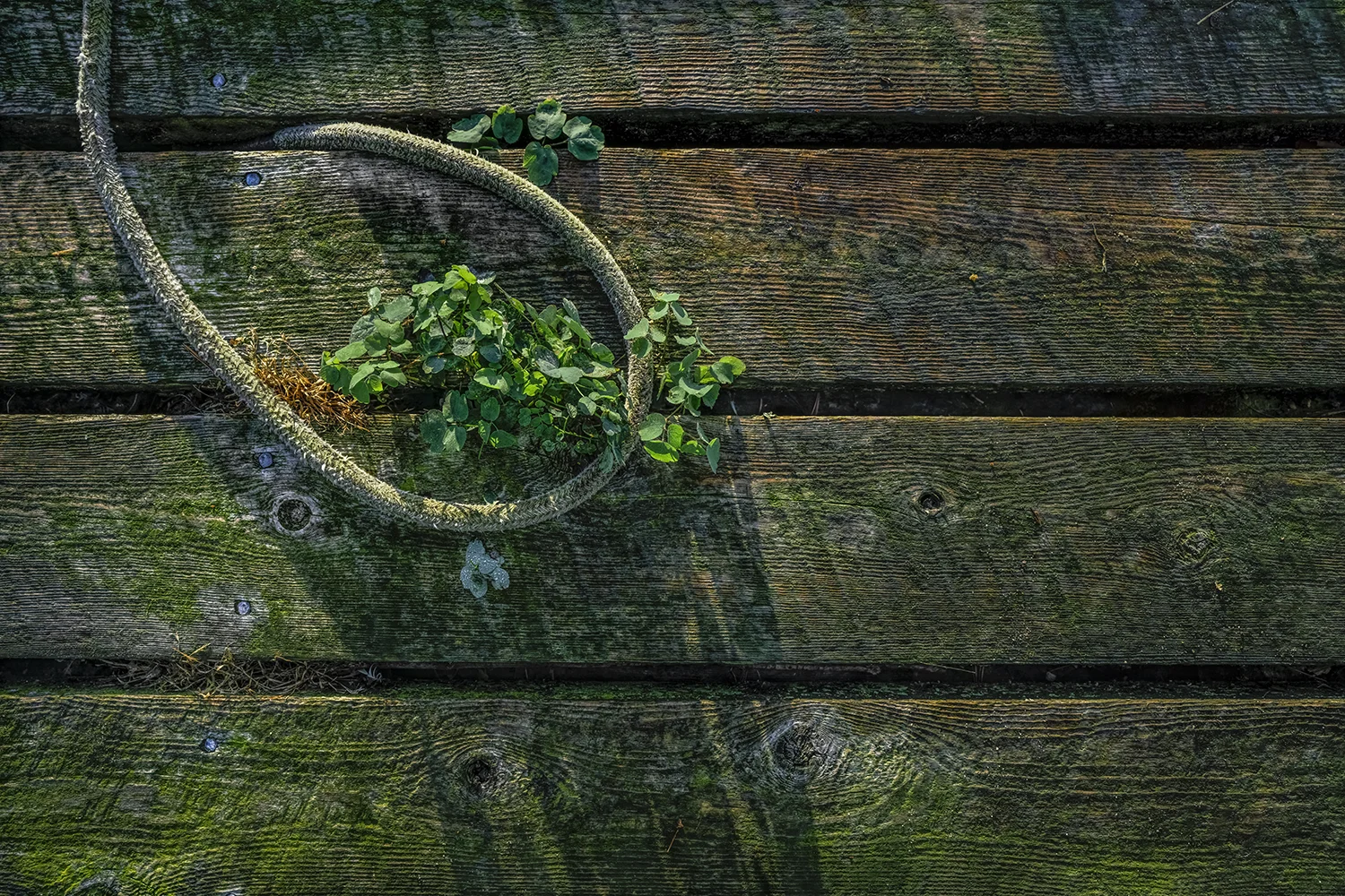 RB 16 09 10 07 26 LE QUAI PP .JPG