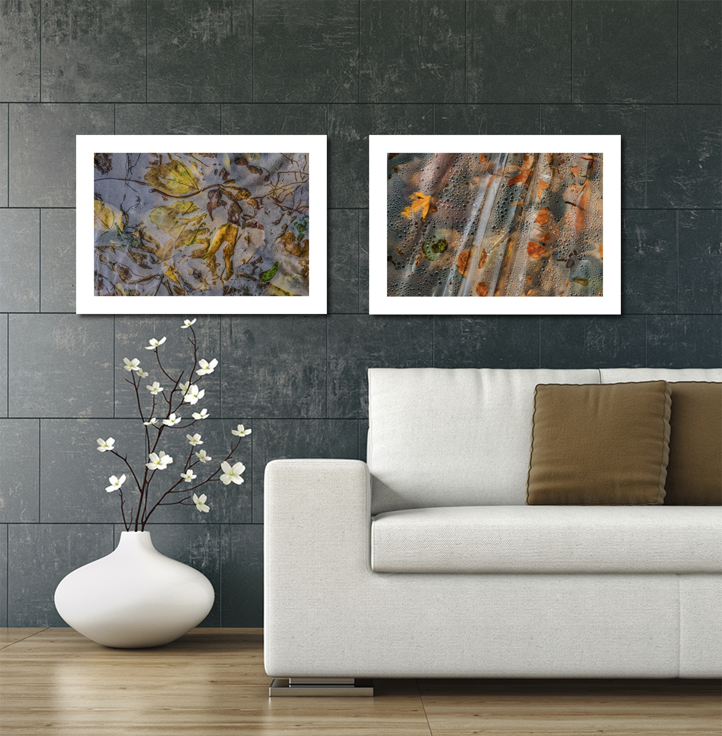 66_iStock_000054828144_montage.jpg