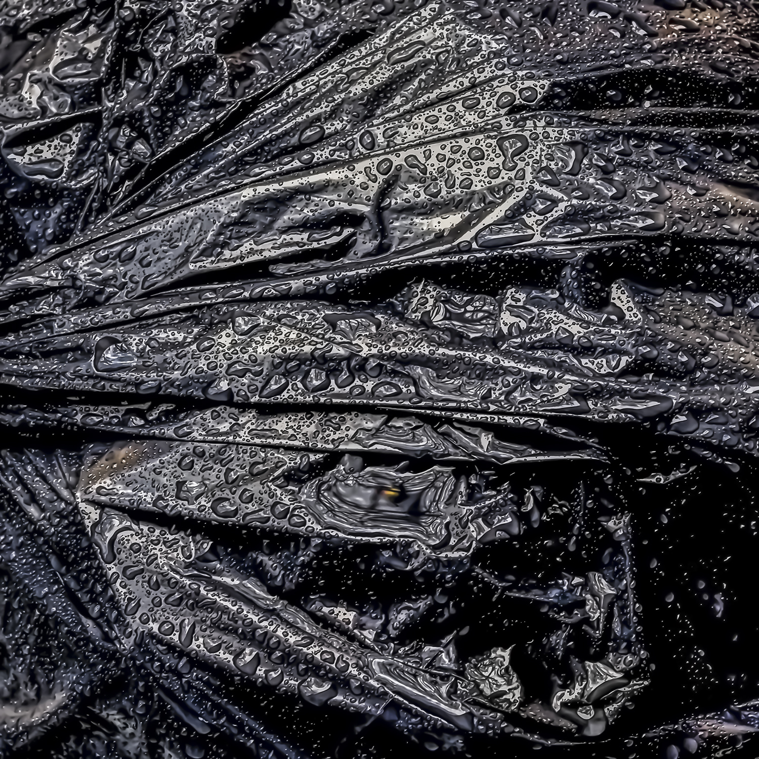 RB  14 04 22 17 49  L'ORDURE DE SAC PP.jpg