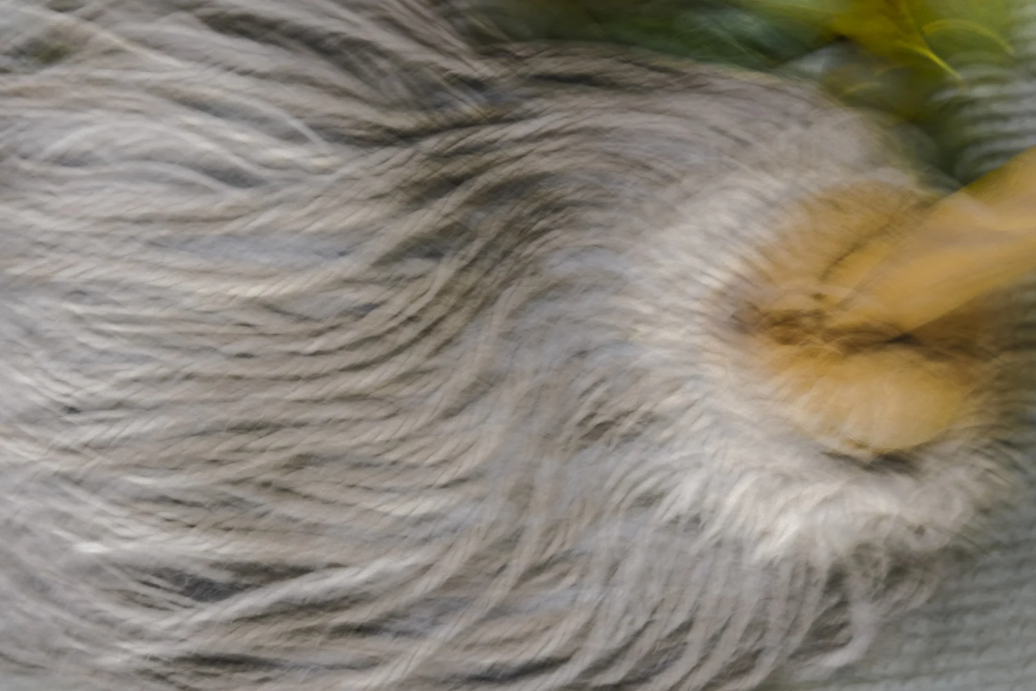 VADROUILLE SUR BALCON  PP MASTER 2.JPG