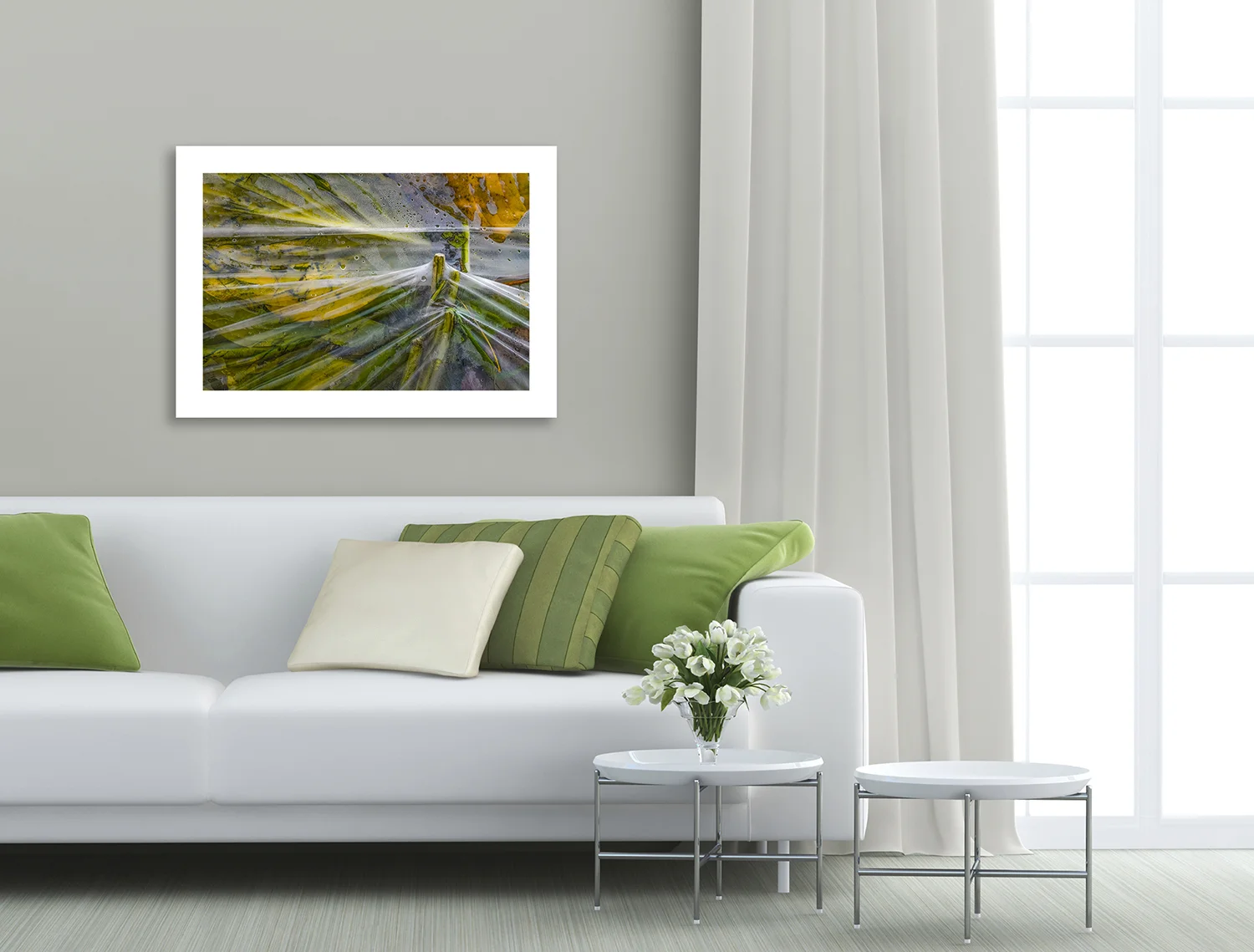 93_iStock_000026066829_montage.jpg
