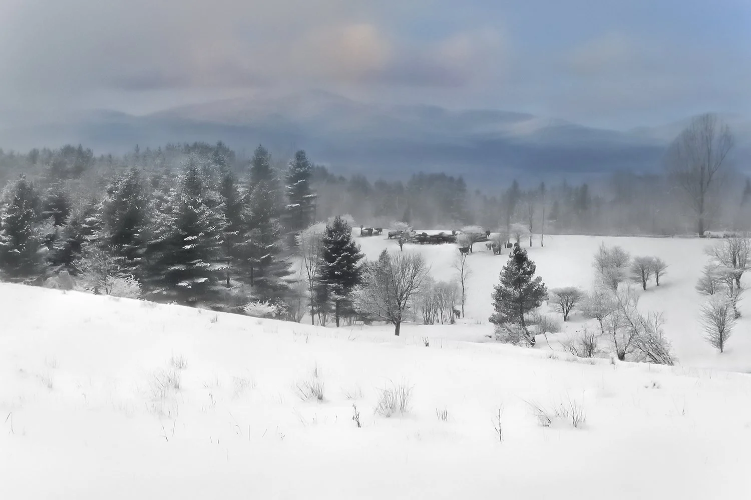 LES APPALACHES VU DU CHEMIN LAPLUME