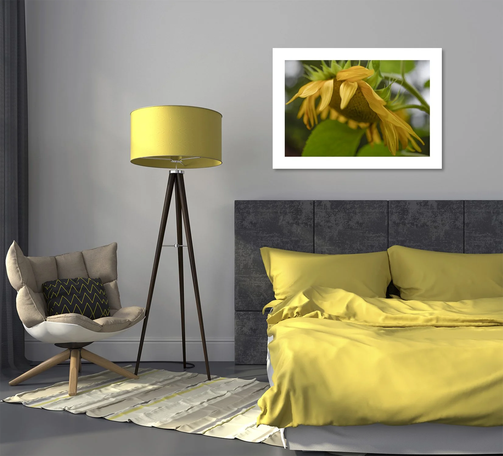 138-iStock_000042275248_montage.jpg