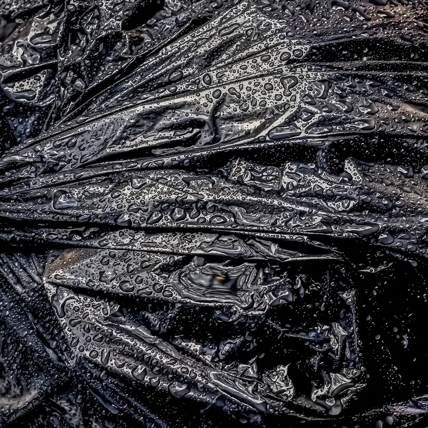  L'ORDURE DE SAC 