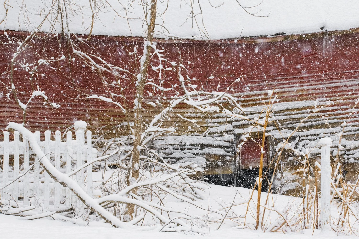  LA DERNIÈRE NEIGE 