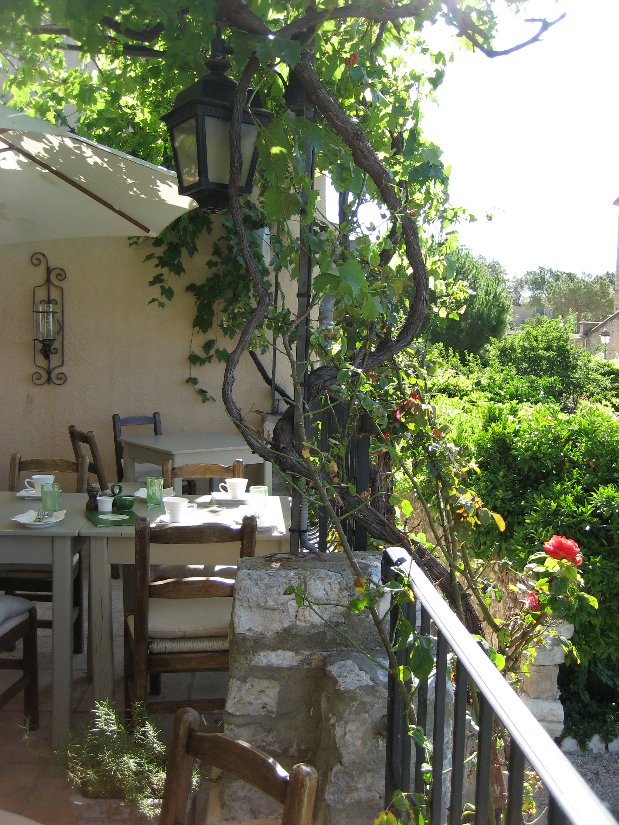Restaurant Vine in France Copyright 2007 Tristina Dietz Elmes.JPG