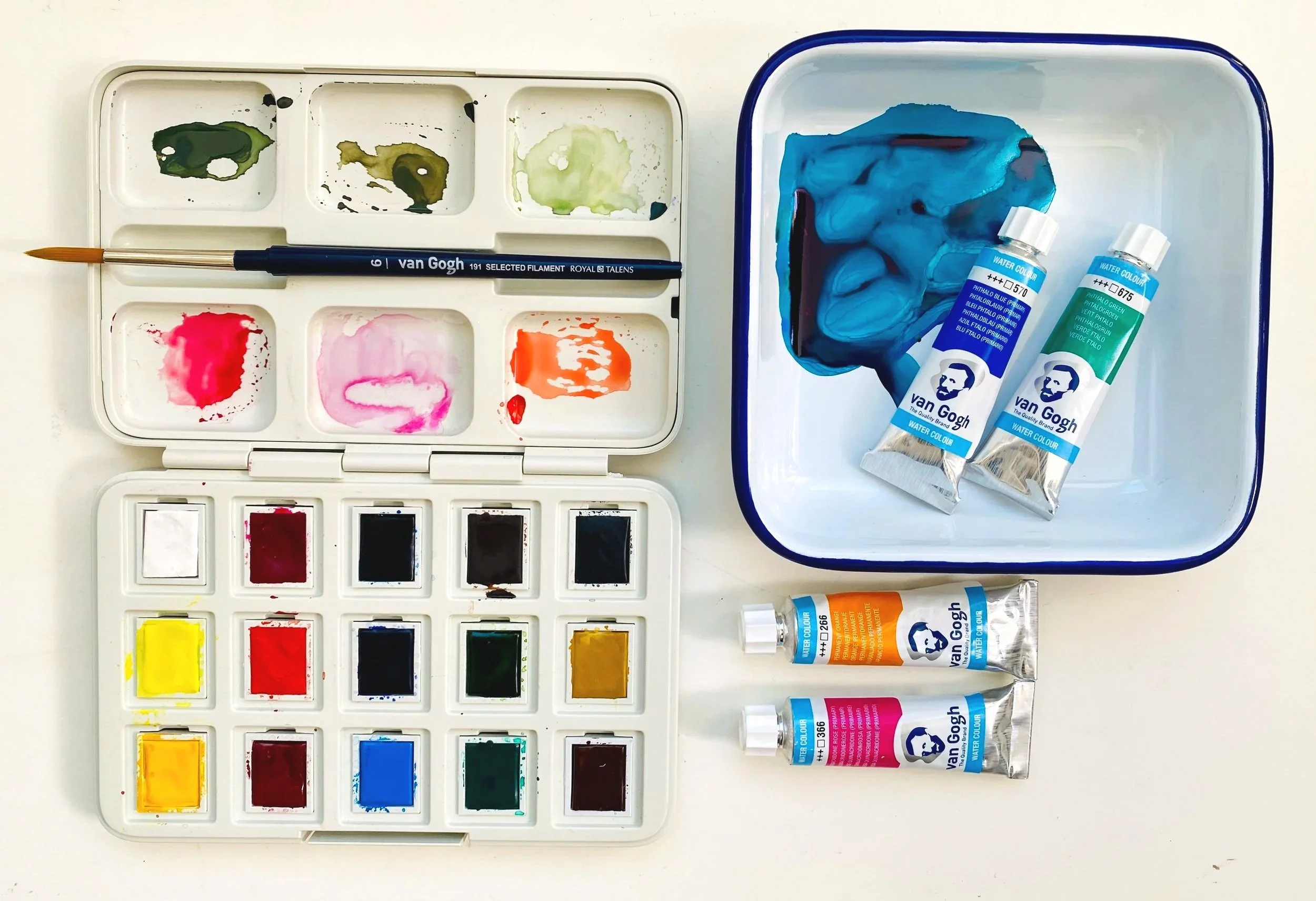 Wild Watercolor Book Review Live Painting Class and Art Sale