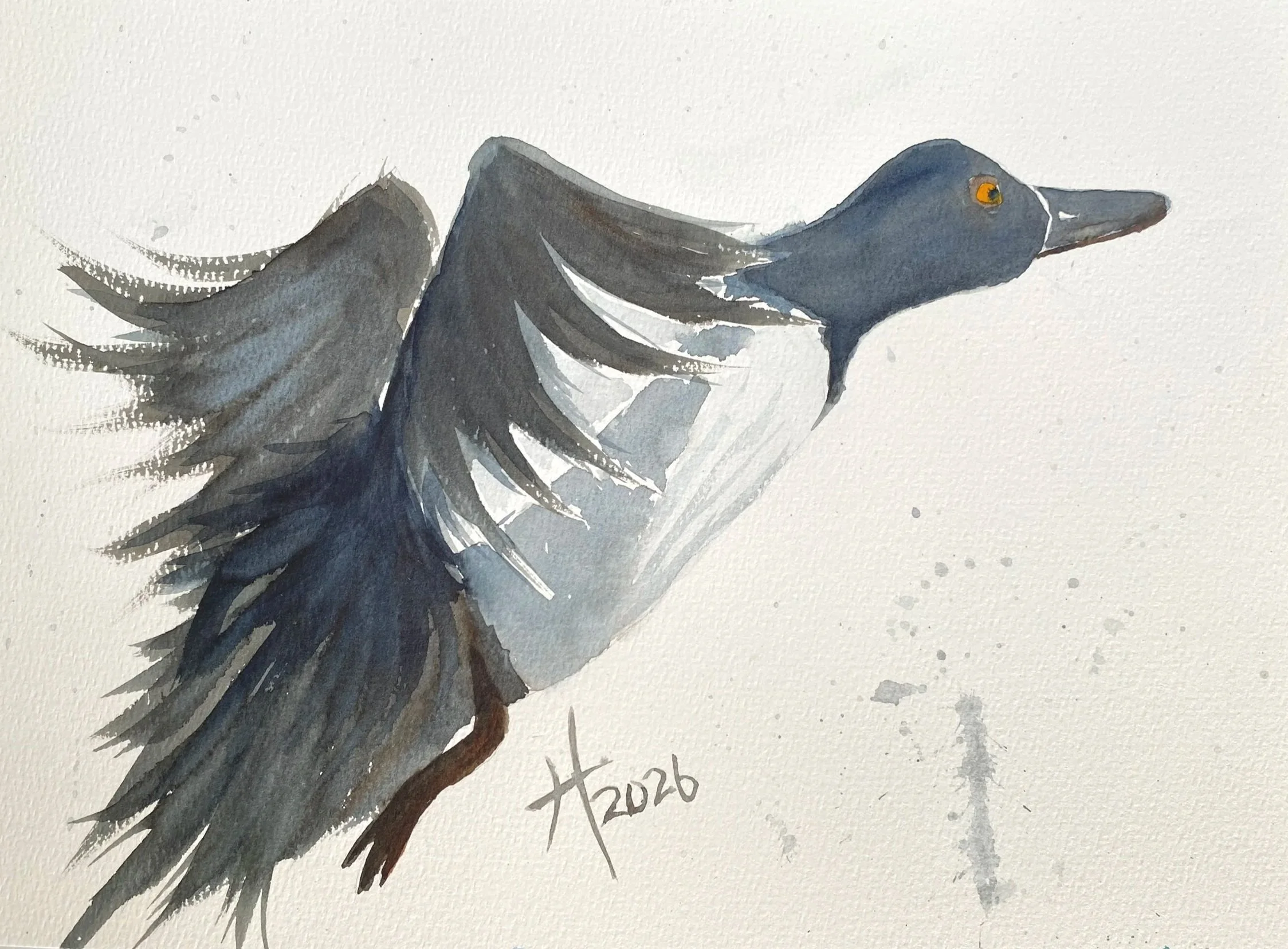 Water Birds in Watercolor Live Painting Class and Art Sale