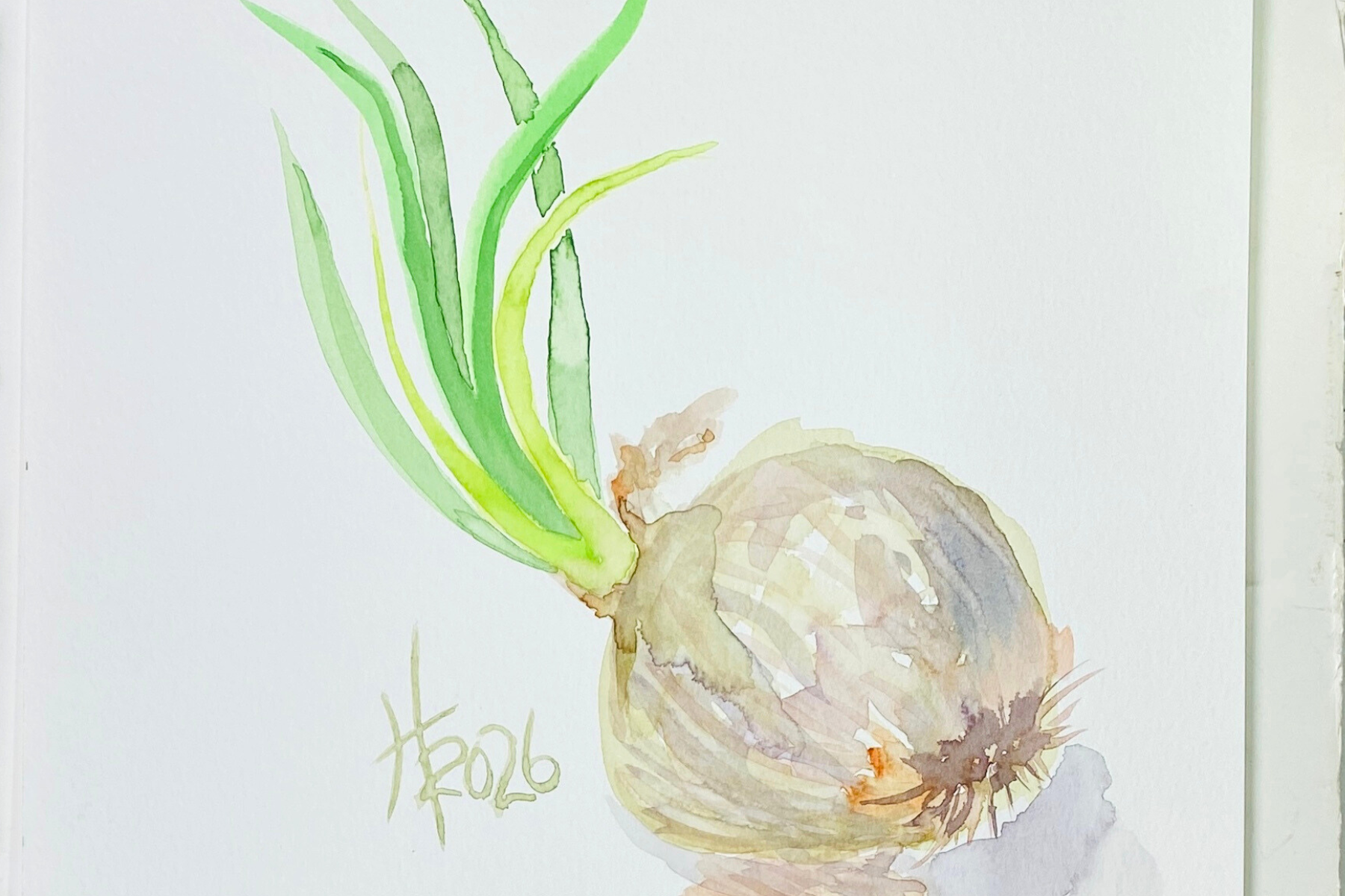 Onion Painting on Multi Surfaces Prepared for Watercolor Live Painting and Art Sale