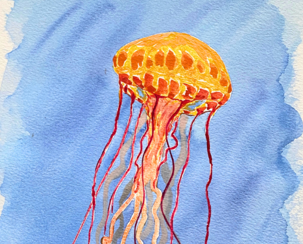 Jellyfish in Watercolor and Gouache Live Painting Class and Art Sale