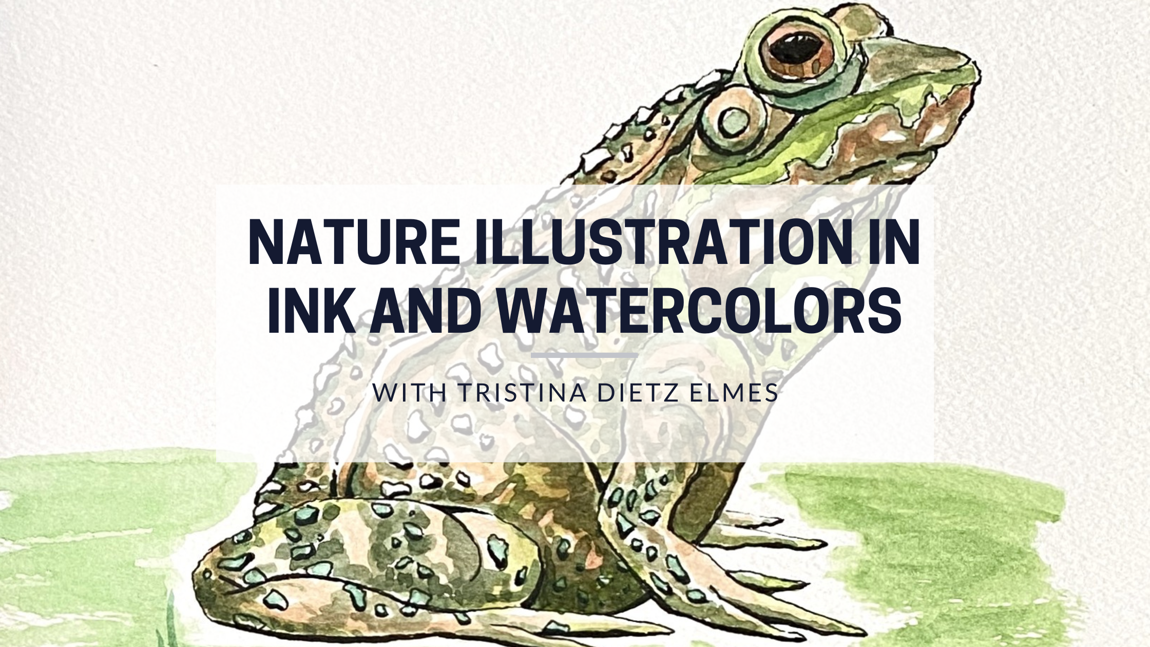 Nature Illustration with Watercolor and Ink Live