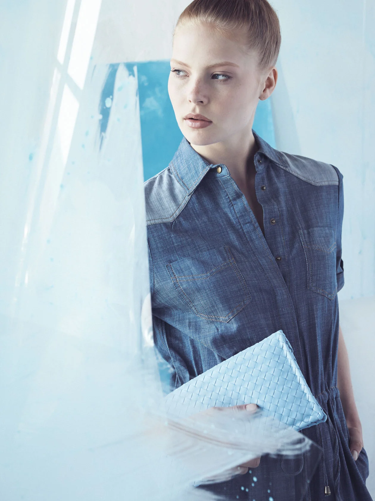 blue lab_03.jpg