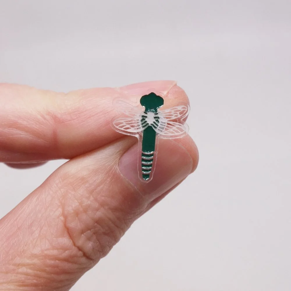 2026-03-26 13.47.06 copie.jpg