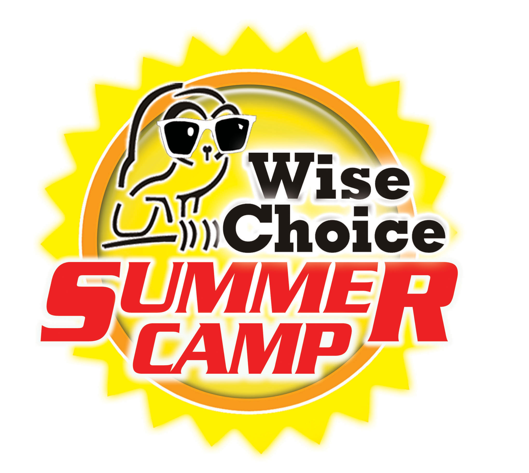 WiseChoiceSummer_logo.jpg