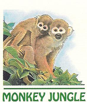 monkey jungle logo.jpg