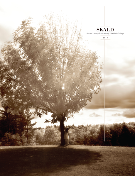 SKALD_2013_cover.png