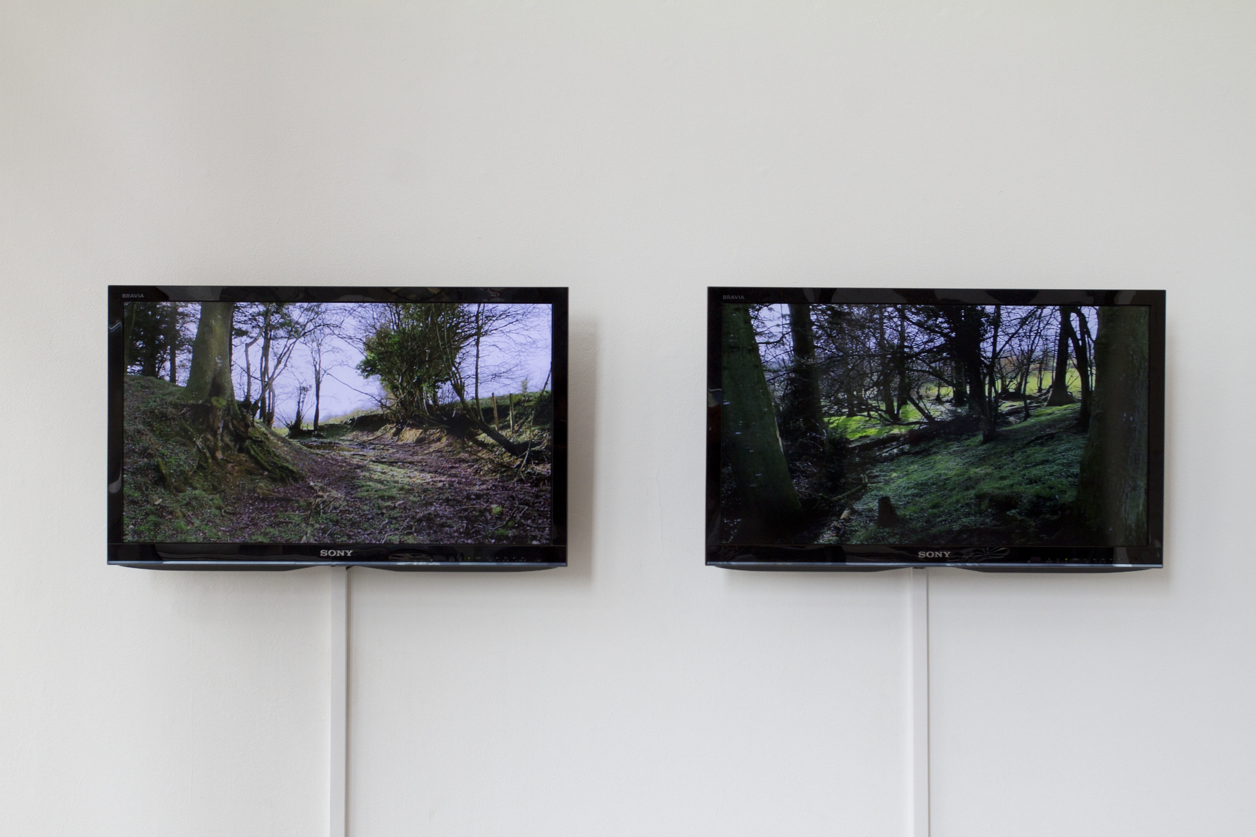 Images copyright of the artist. Photos by Michael Holly.