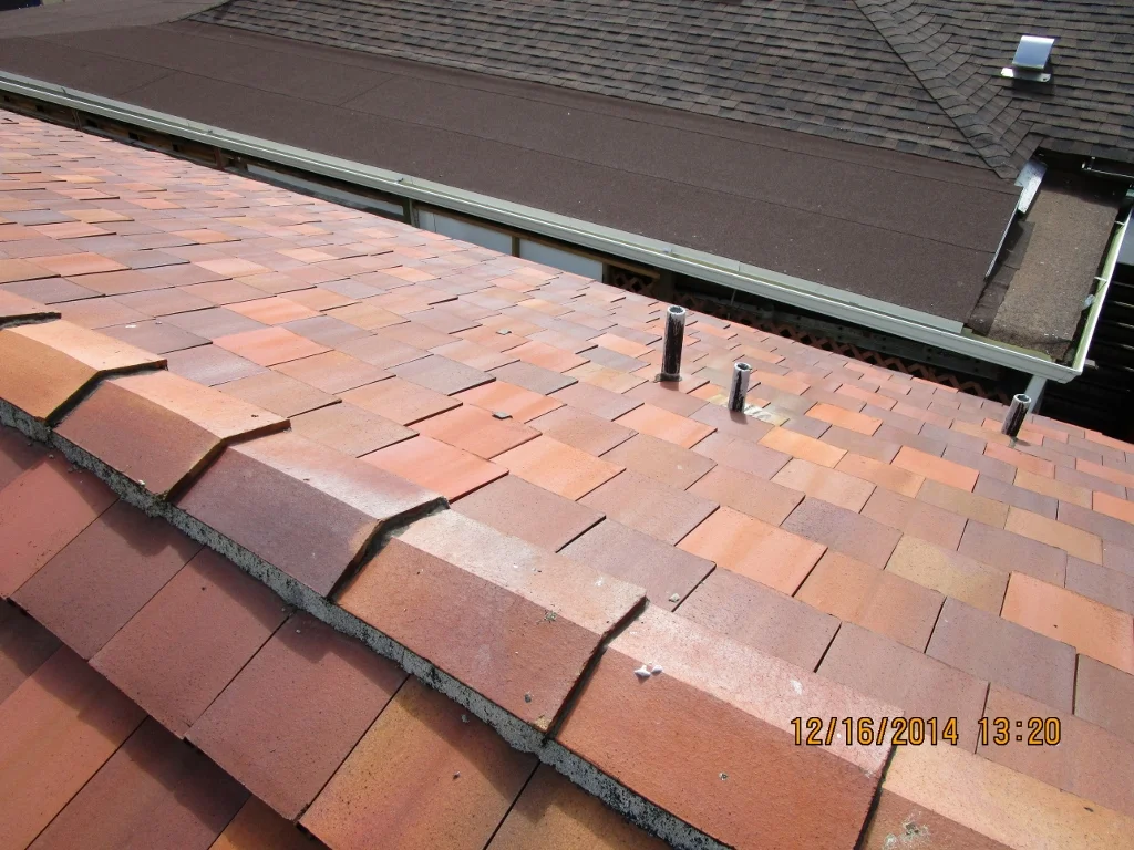 Roof View 3