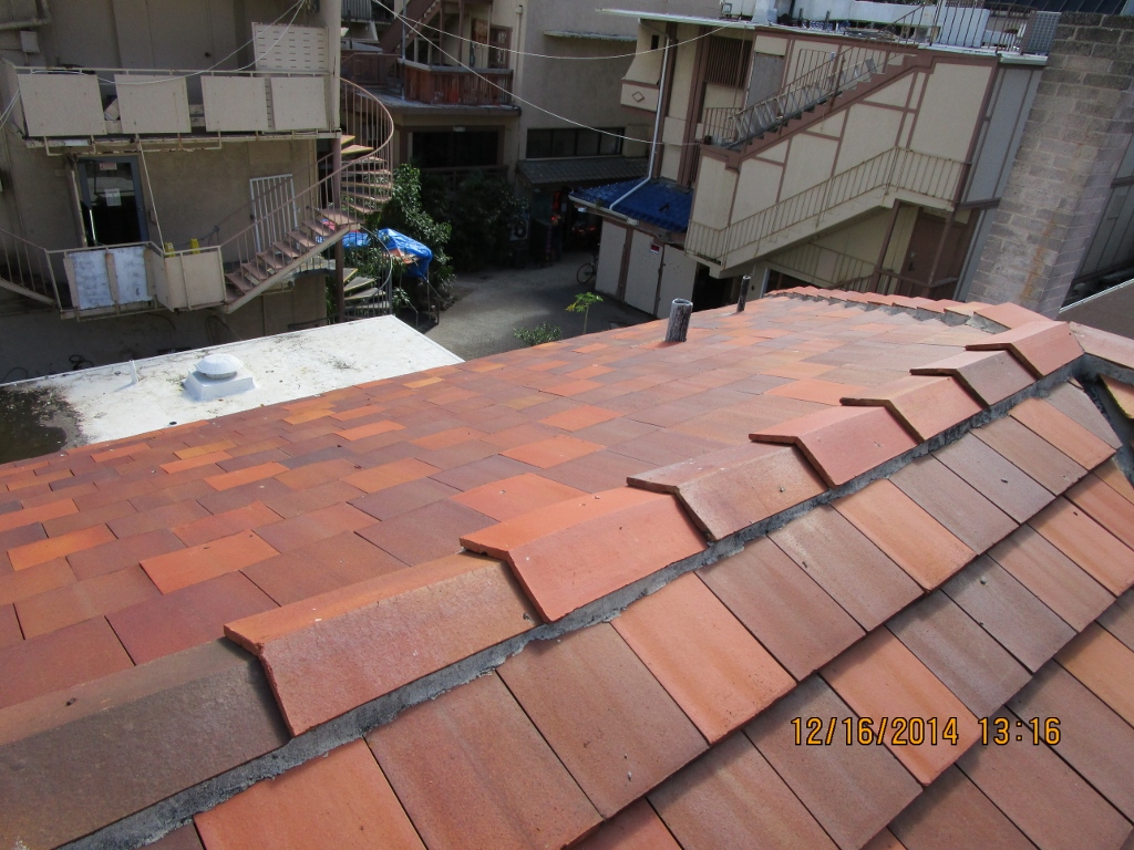 Roof View 5