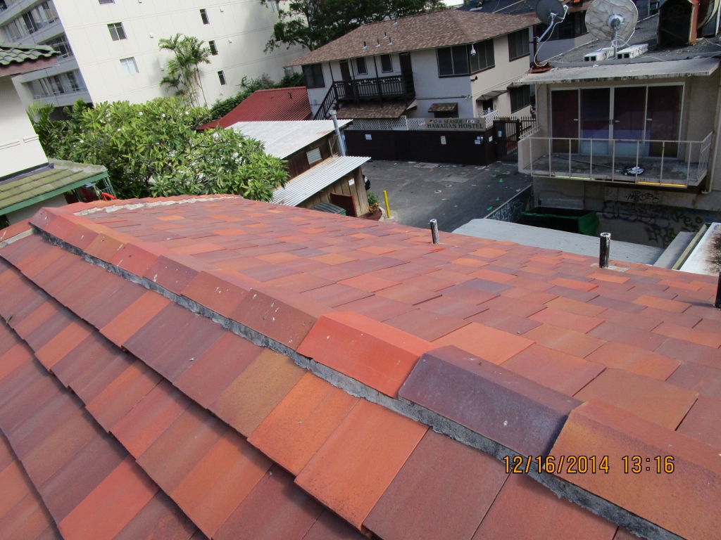 Roof View 6