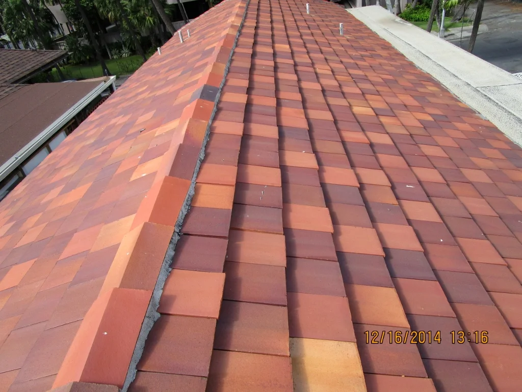 Roof View 4