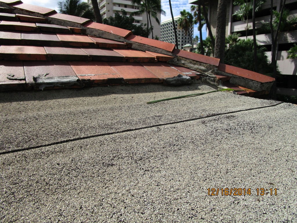 View of Flat Roof 3