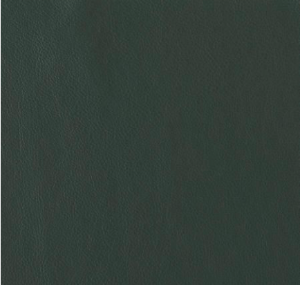 20-F Green Leather