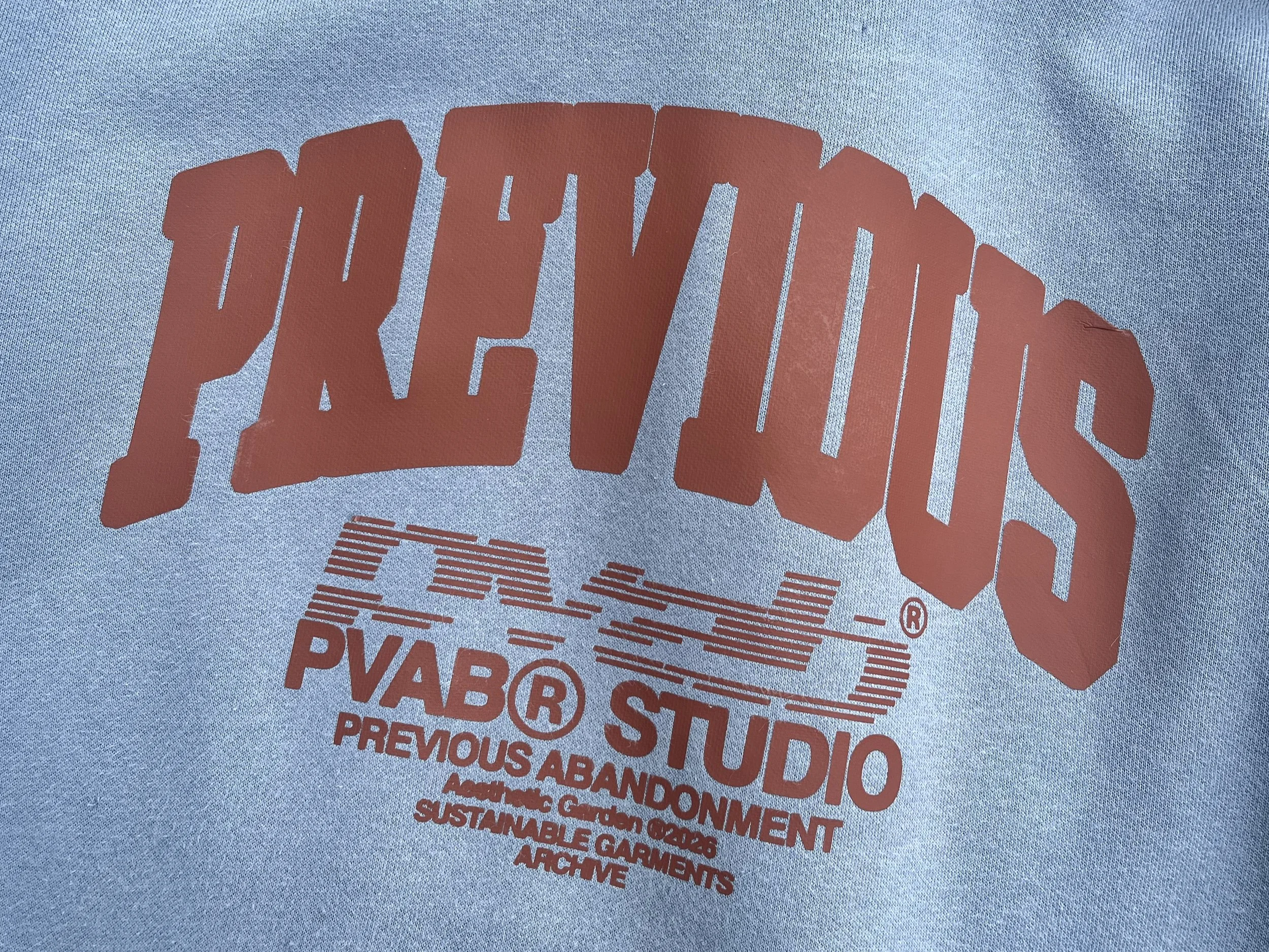 PREVIOUS HOODIE ZOOM.jpg