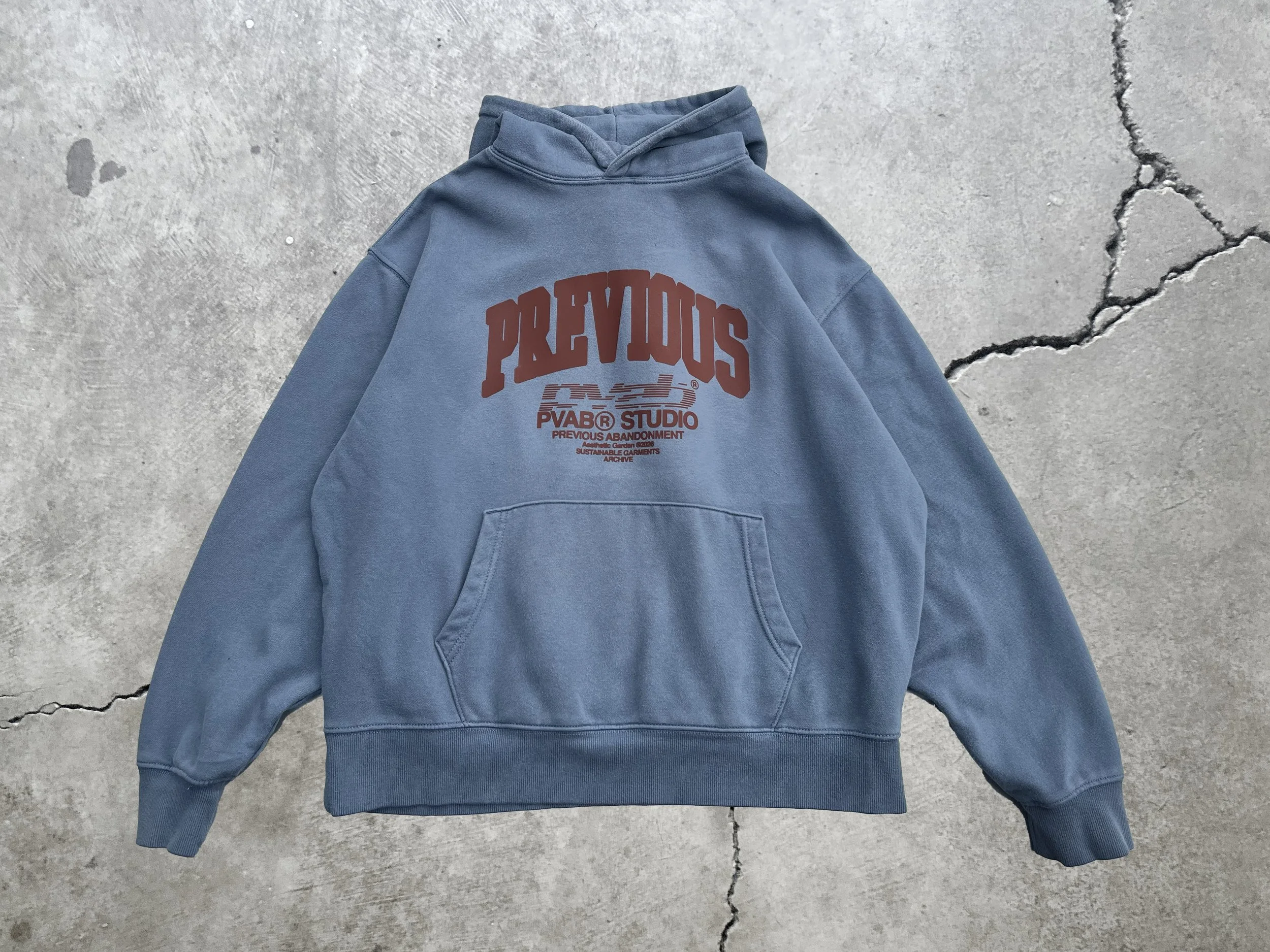 PREVIOUS hoodie.jpg