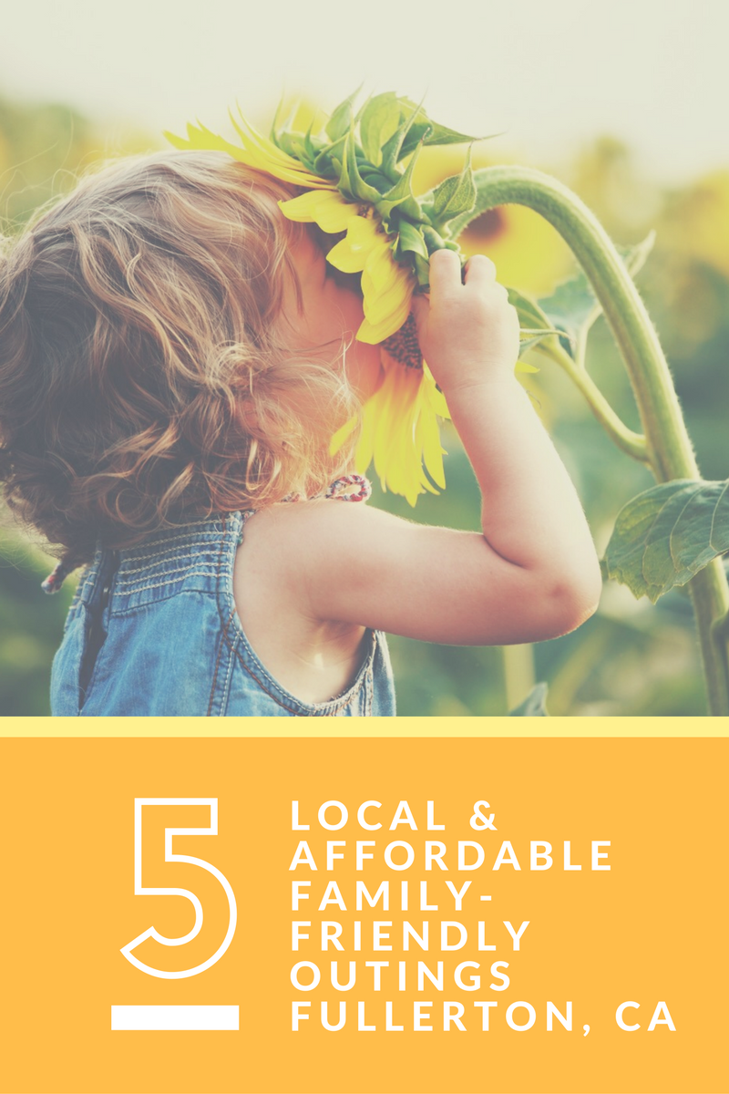Local & Affordable Family Friendly Outings