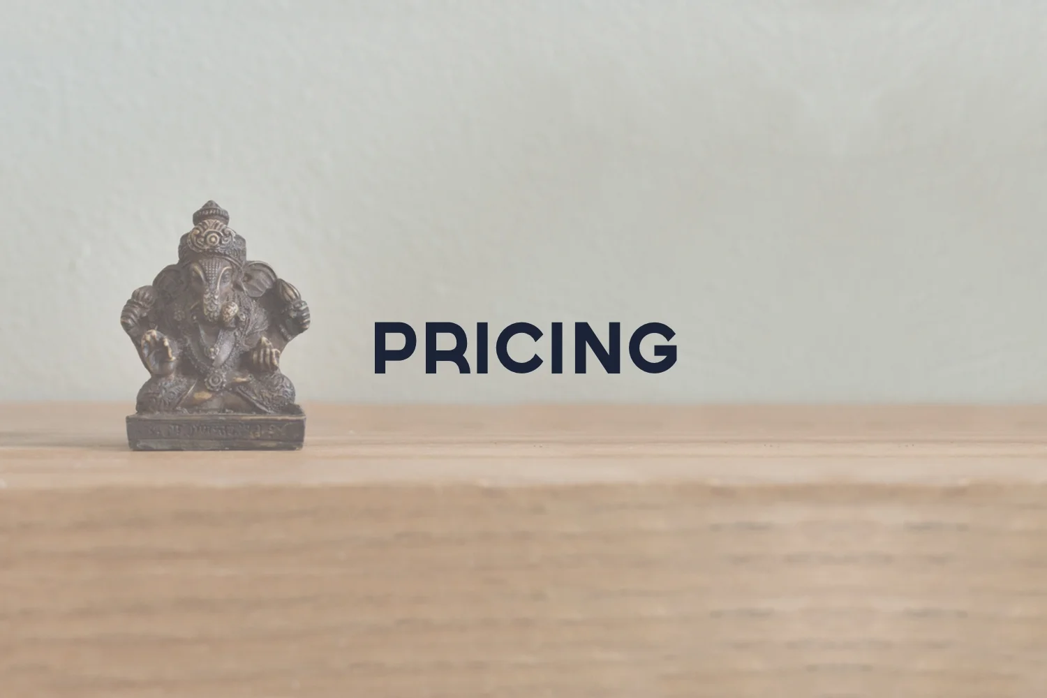 pricing side square copy.jpg