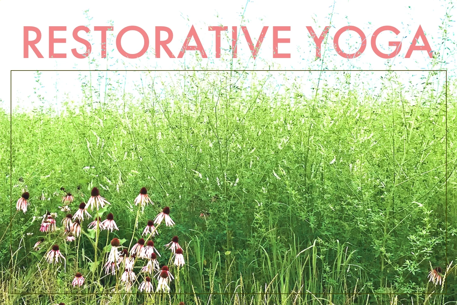 Restorative HHY Web.jpg