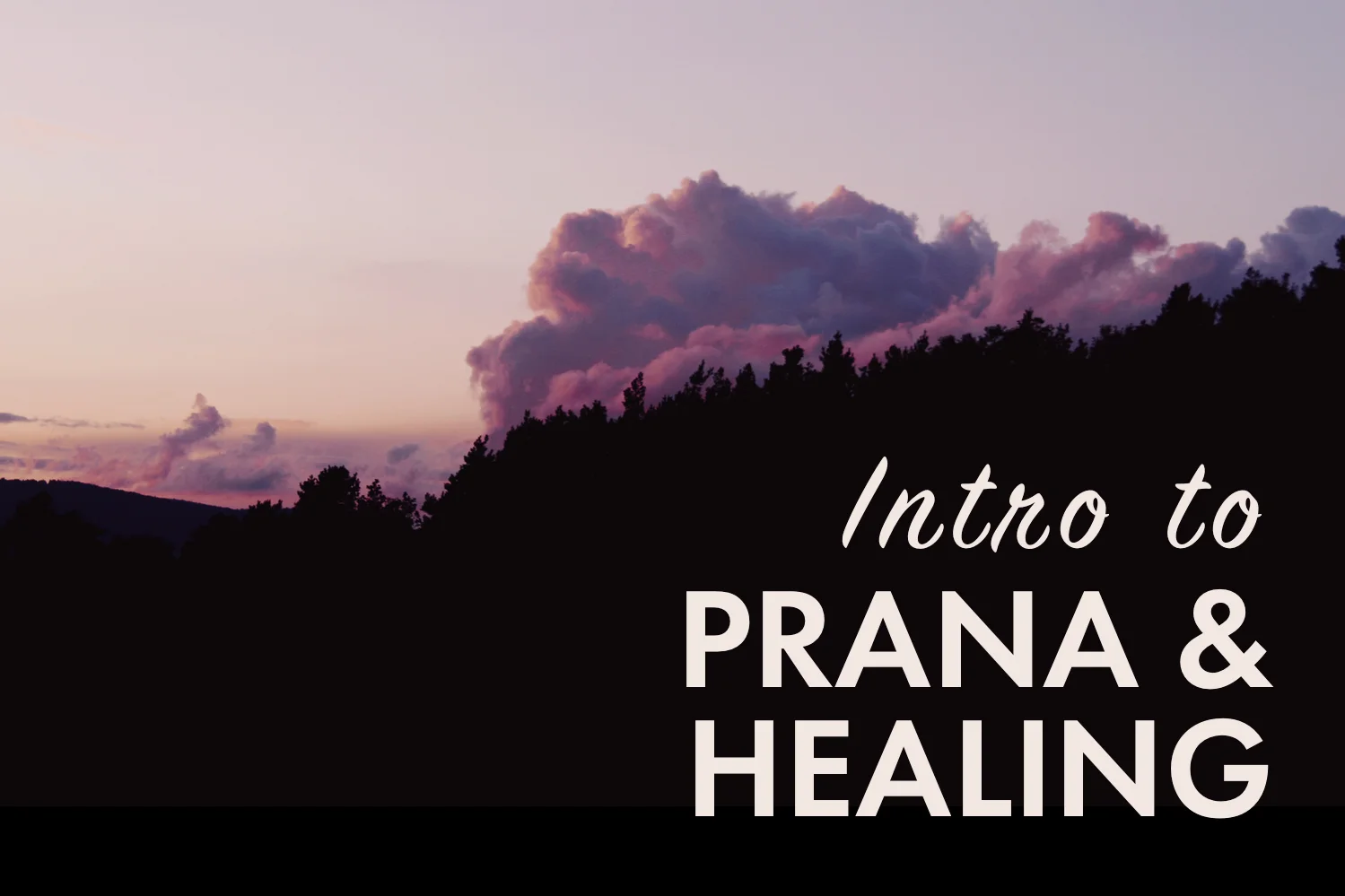Prana HHY Web.jpg