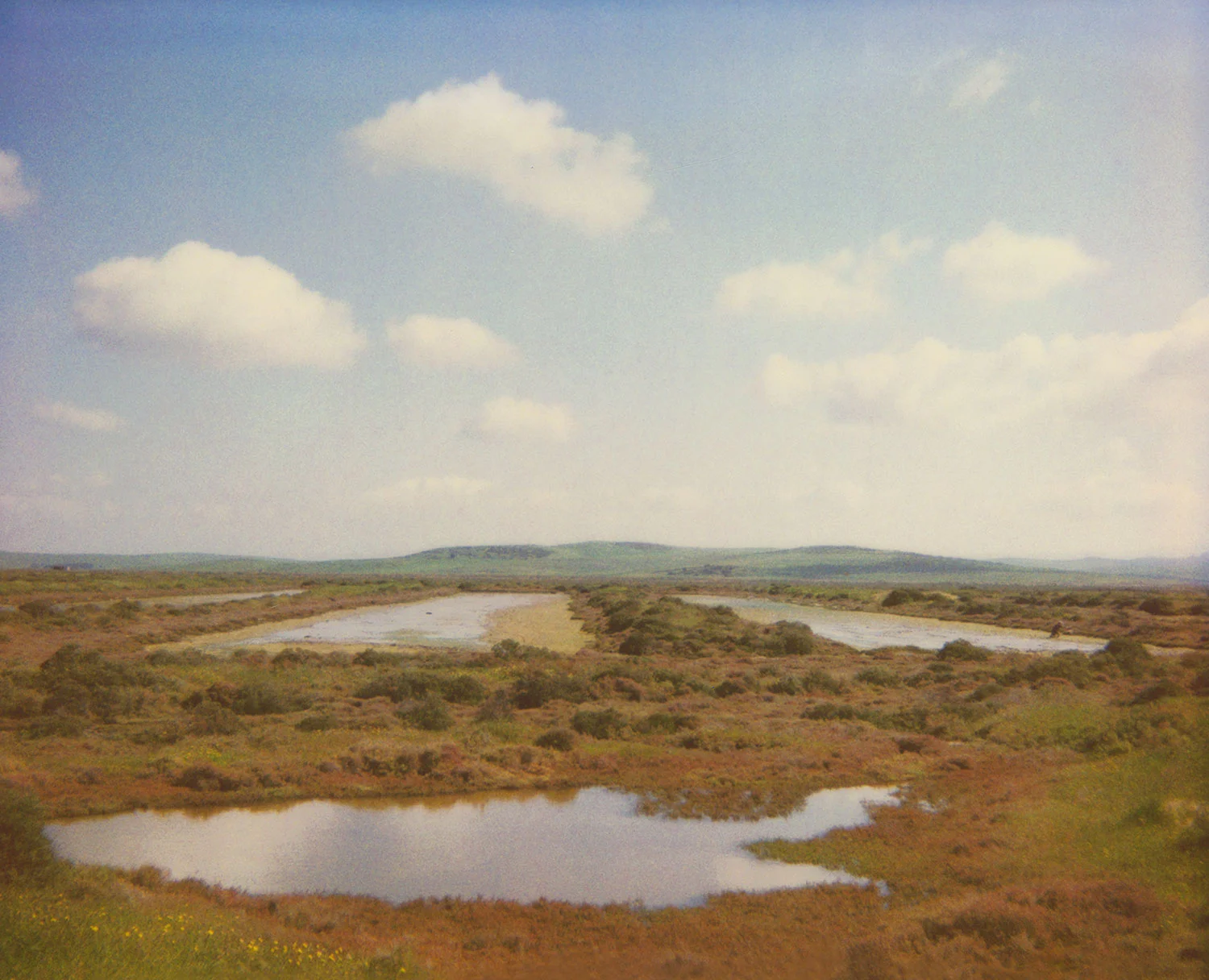 Salinas I