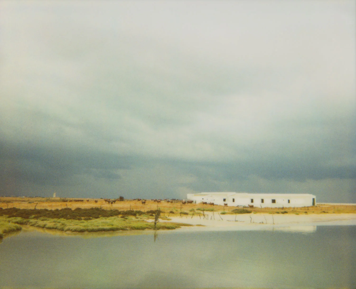 Rio Salado
