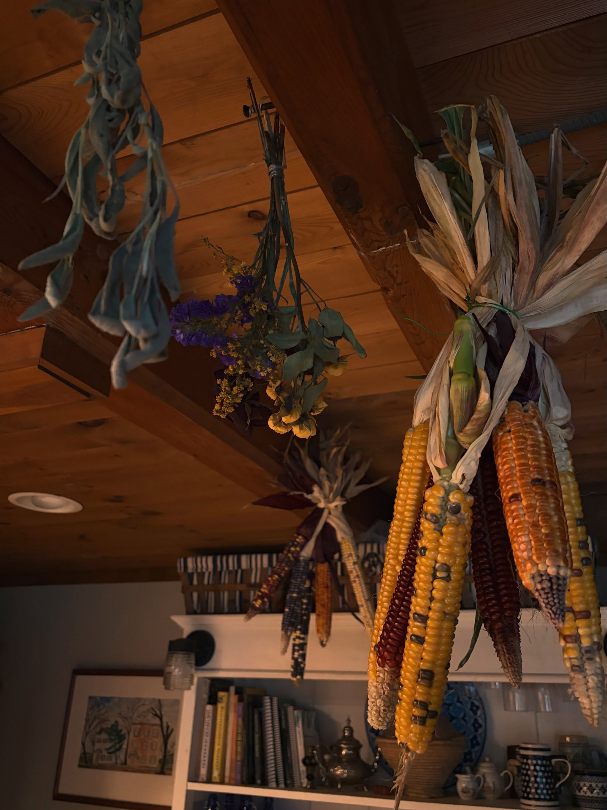 When days are long and you&rsquo;re so effffing tired, it&rsquo;s really nice looking up and remembering&hellip;oh yeah, we grew that&hellip;

🌾👨🏻&zwj;🌾👩🏽&zwj;🌾harvest it, cook with it, enjoy it&hellip;

Sage, flowers, and corn&hellip;little p